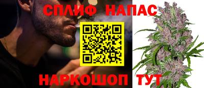 прущие крисы Будённовск