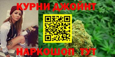 прущие крисы Будённовск