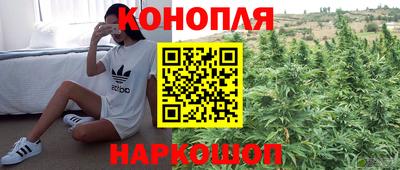 прущие крисы Будённовск