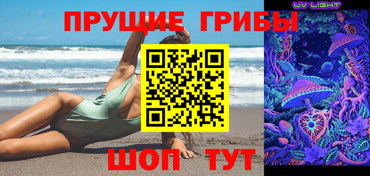 Галлюциногенные грибы Cubensis  Вход с VPN  Псилоцибиновые грибы прущие грибы  Нягань 